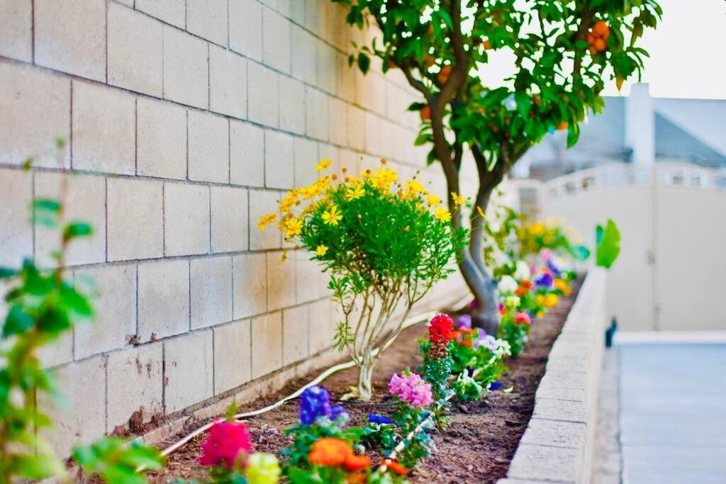 La Sunny House Beautiful Yard 7 Rooms 4 Bathrooms Near Disneyland & Hollywood & Downtown ハシエンダ・ハイツ エクステリア 写真